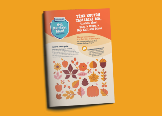 Ngā Kaitiaki Moni Autumn Challenge